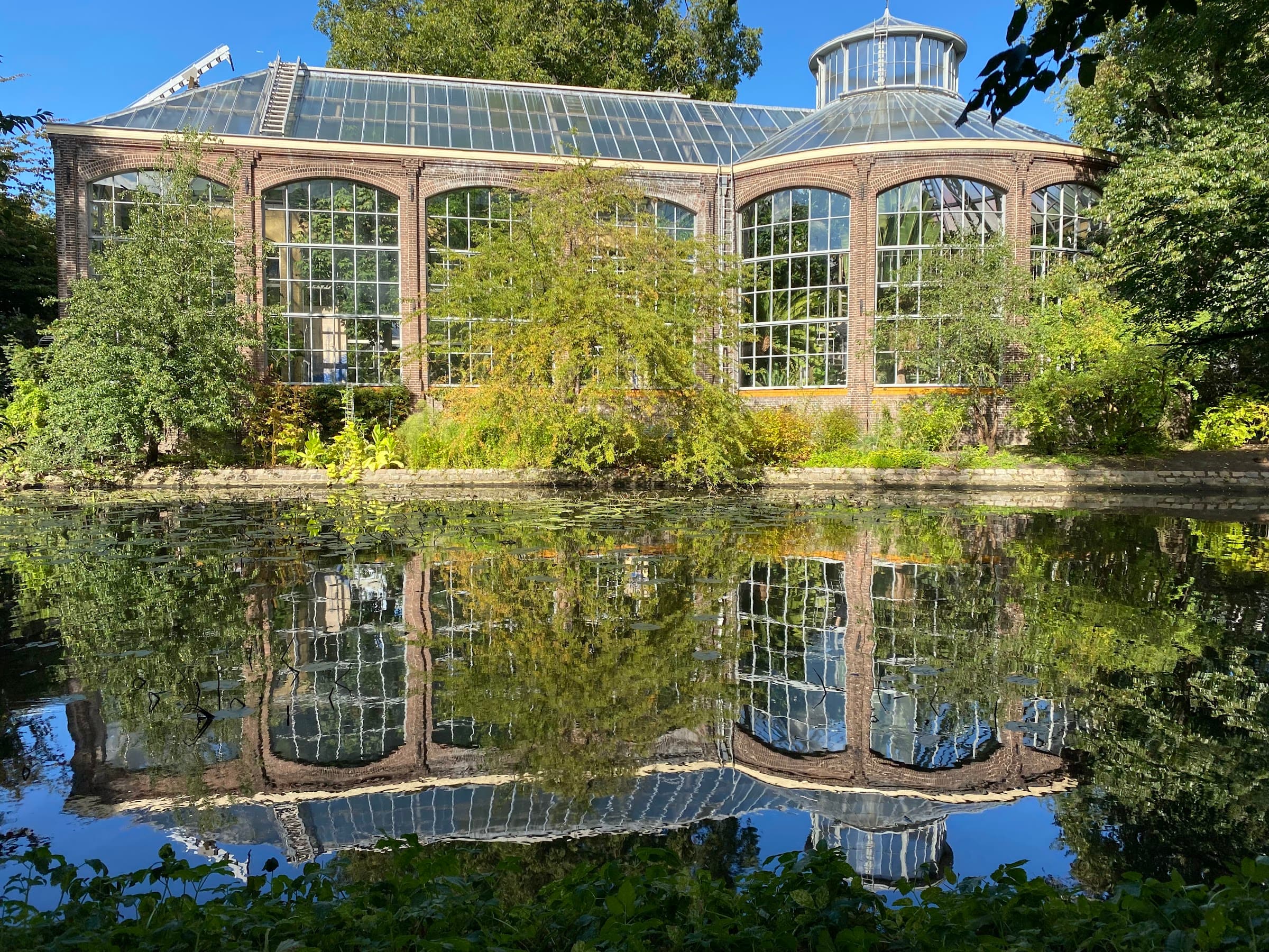 Hortus Botanicus — Hidden gem in 9 Straatjes Amsterdam